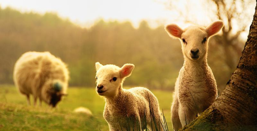 Spannende IT-Projekte