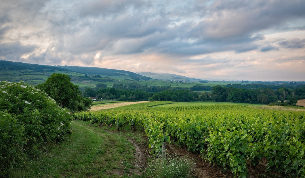 Brückl Infrastrukturpartner Kelag
