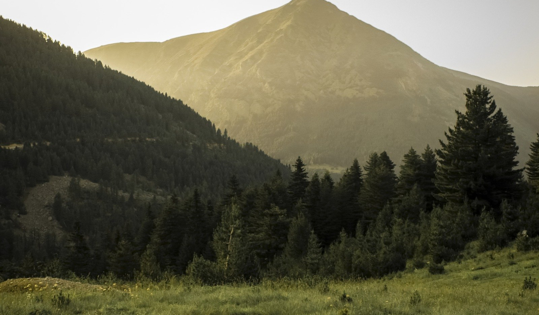 Frantschach-St. Gertraud