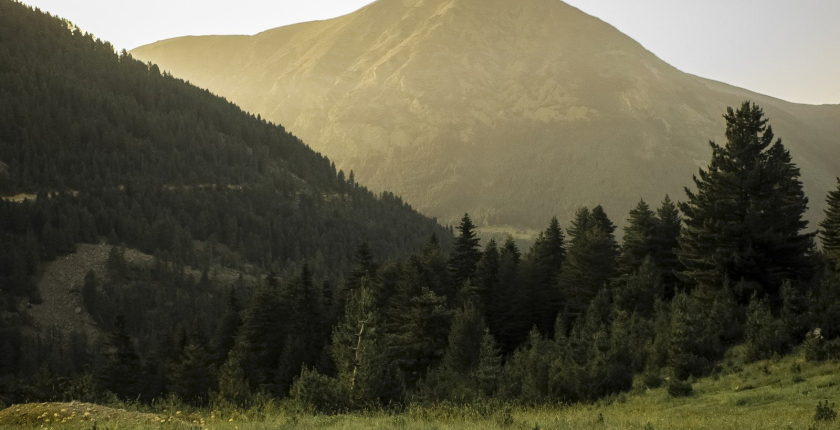 Frantschach-St. Gertraud