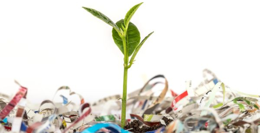 Papyrus Altpapierservice