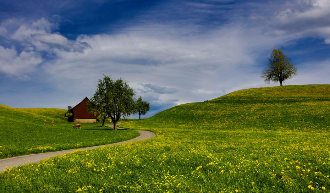 St. Paul / Fotocredit: Freepik