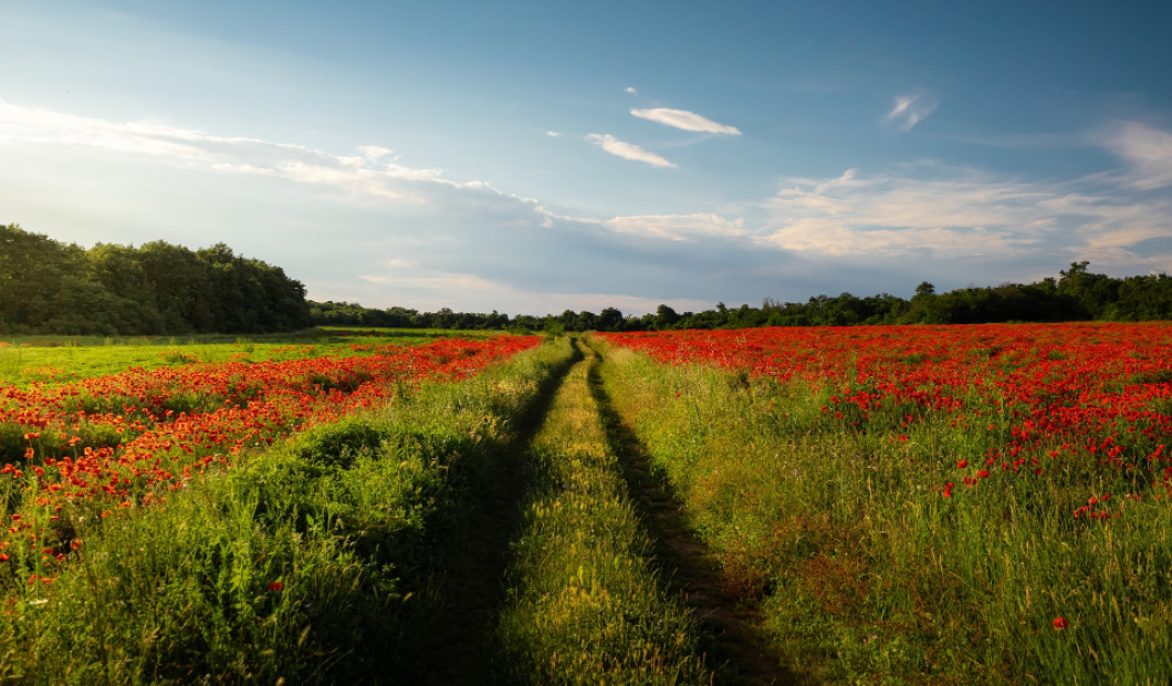 Krems in Kärnten / Fotocredit: Freepik