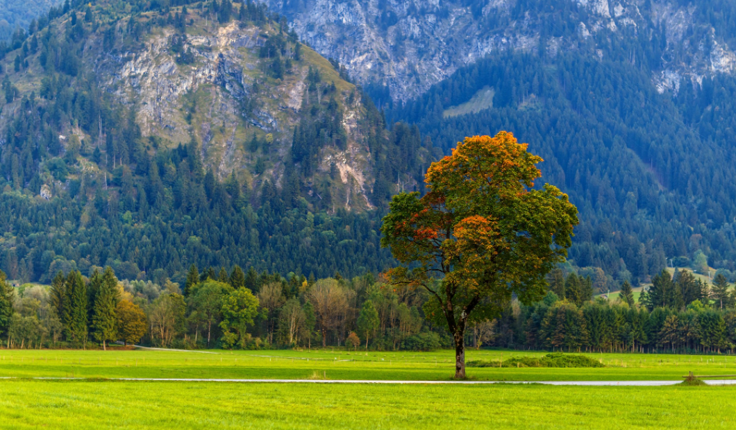 Feldkirchen / Fotocredit: Freepik