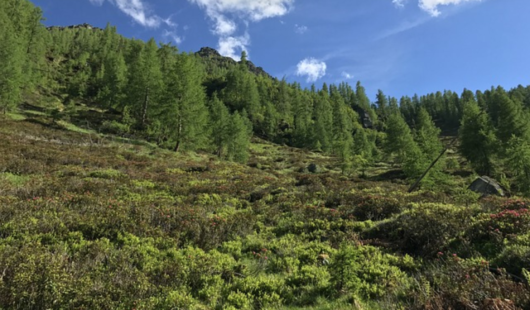 Ebenthal / Fotocredit: Pixabay