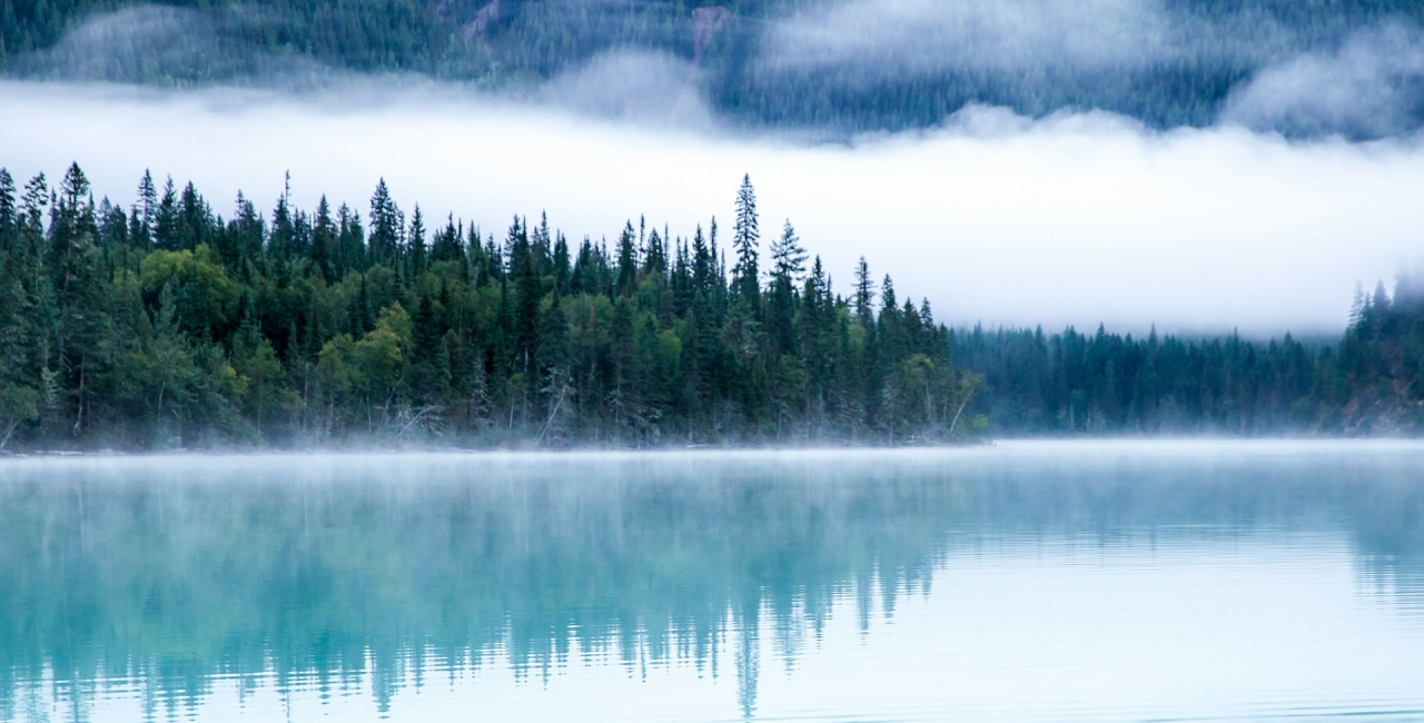 Fotocredit: Unsplash