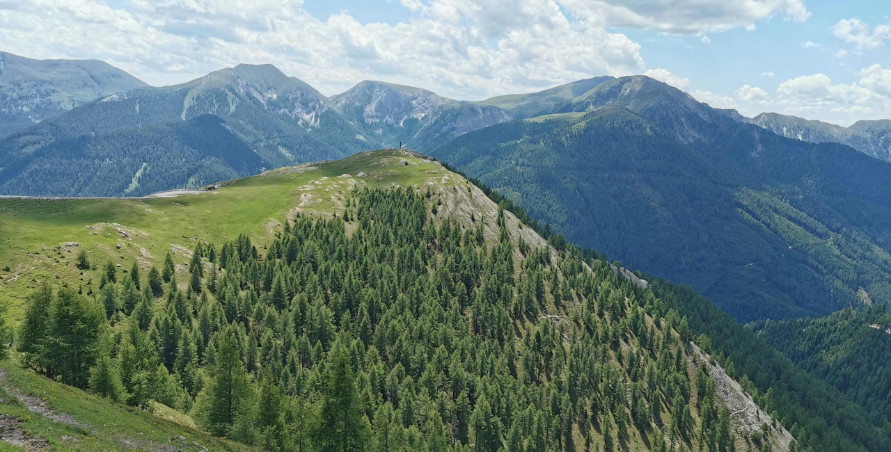 Fotocredit: www.pexels.com