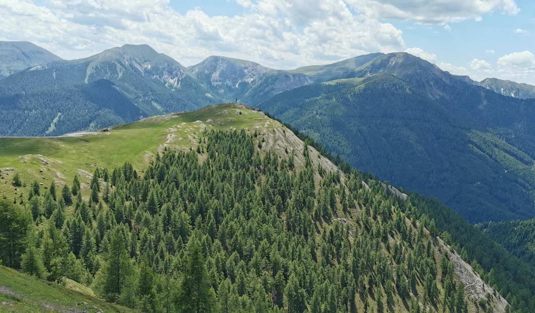 Eisentratten / Fotocredit: www.pexels.com