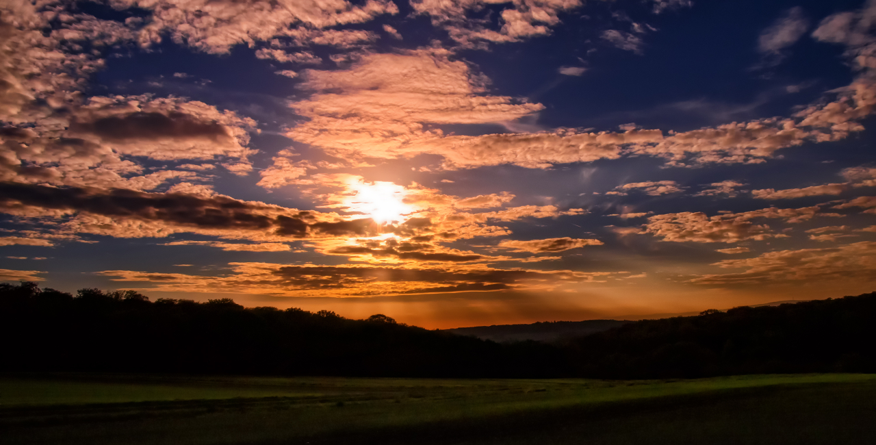 Fotocredit: www.pexels.com