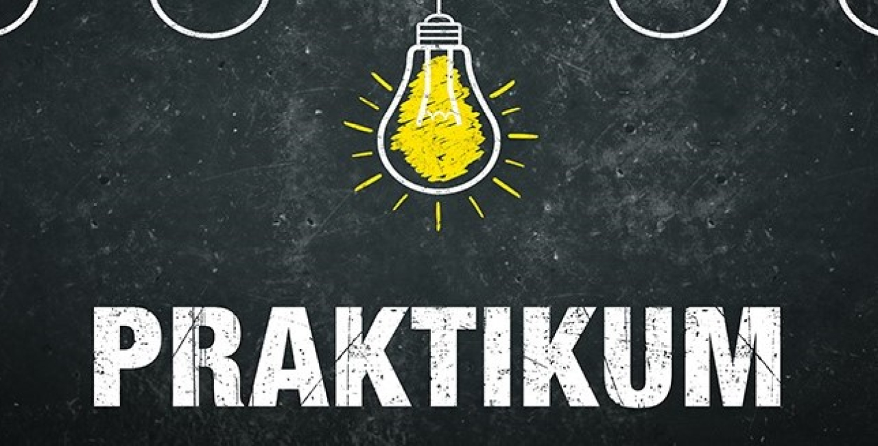 Praktikum | Diplomarbeit HTL